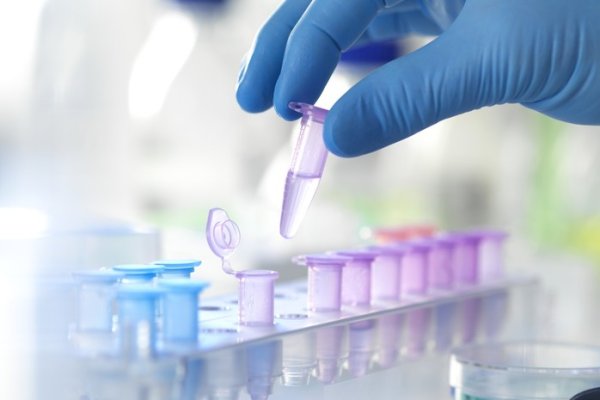 Кракен наркошоп сайт