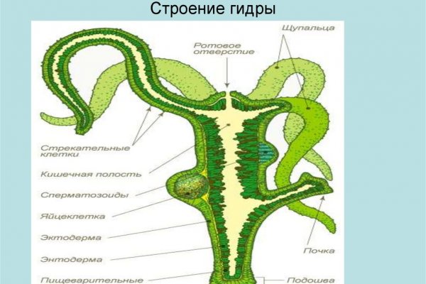 Ссылки на дарк нет