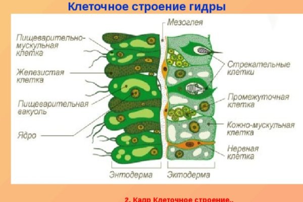 Онлайн магазин наркотиков
