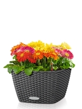 Как найти ссылку на кракен